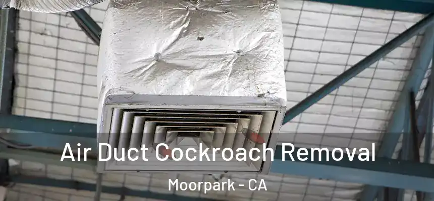 Air Duct Cockroach Removal Moorpark - CA