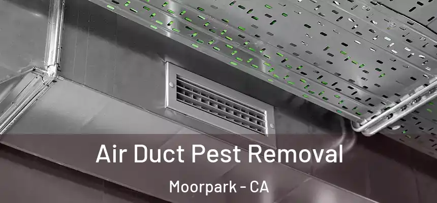  Air Duct Pest Removal Moorpark - CA
