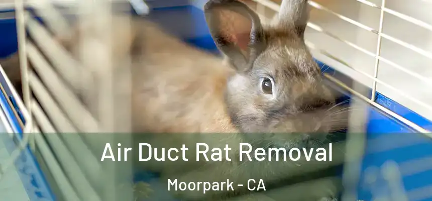 Air Duct Rat Removal Moorpark - CA