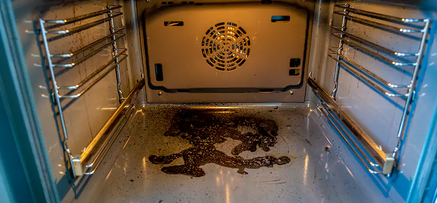 Our Dryer Vent Mold Cleaning Services in Moorpark, CA