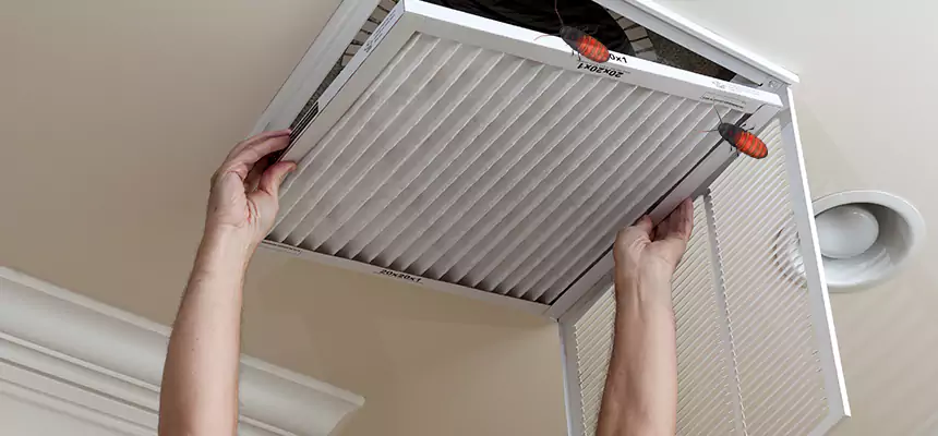 Our Insect Removal from Air Ducts Services in Moorpark, CA