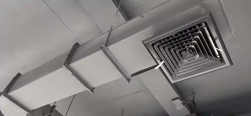 Our Pest Removal From Ducts Services in Moorpark, CA