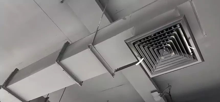 Our Rodent Droppings In Vents Services in Moorpark, CA