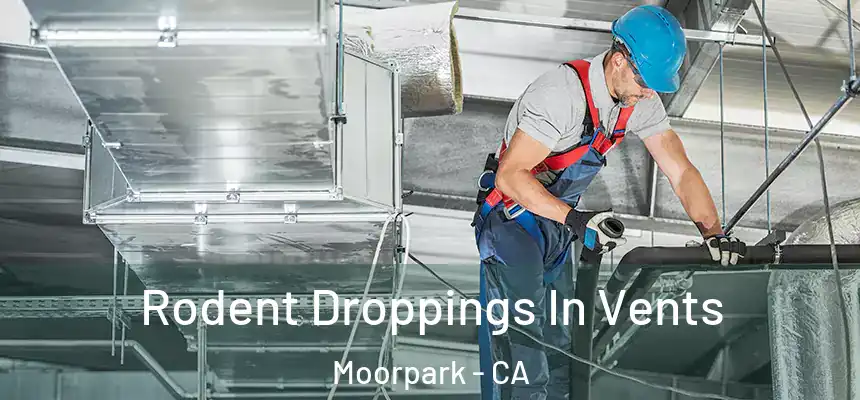  Rodent Droppings In Vents Moorpark - CA