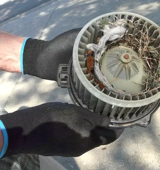 About Air Duct Rat Removal in Moorpark, CA