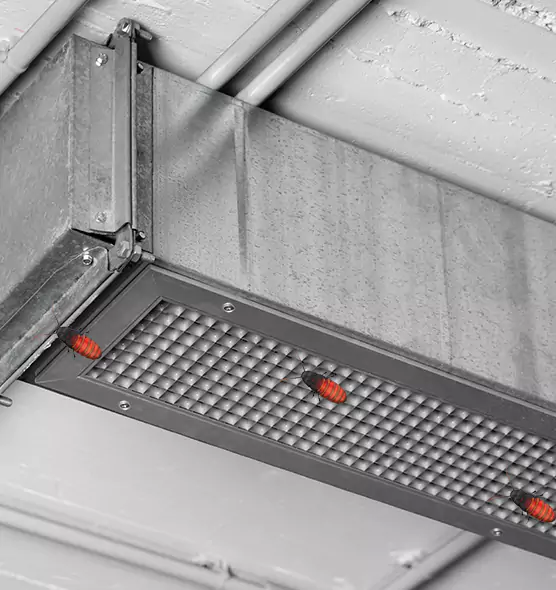Affordable Insect Removal from Air Ducts in Moorpark, CA