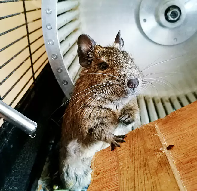 Why Homeowners & Businesses Trust Us Moorpark, CA