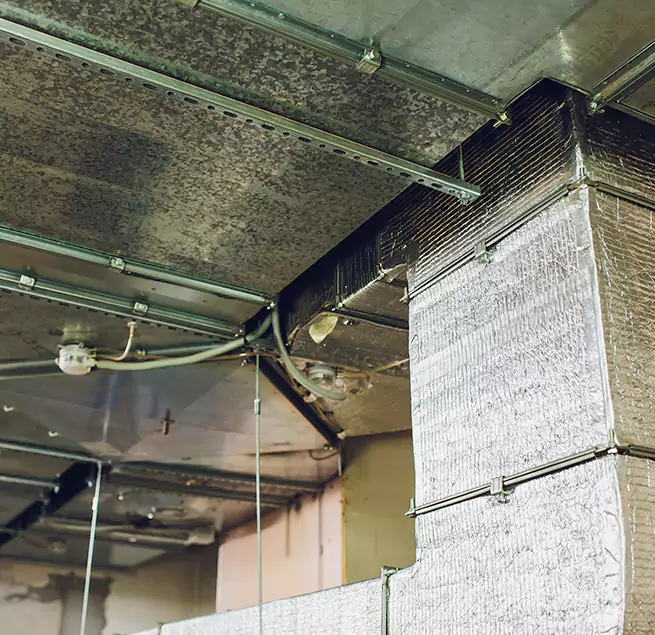 Why Homeowners & Businesses Trust Us in Moorpark, CA?